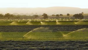 Industrial irrigation